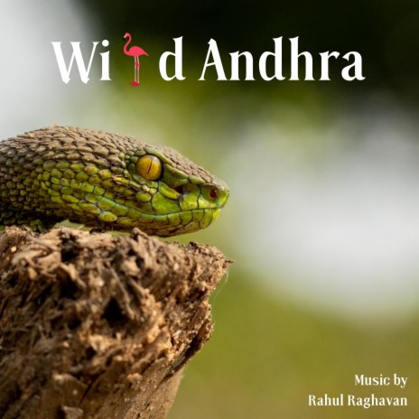 Wildlife at Andhra