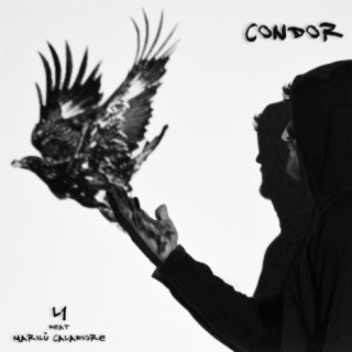 Condor