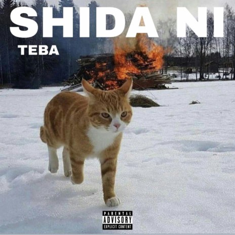Shida Ni | Boomplay Music