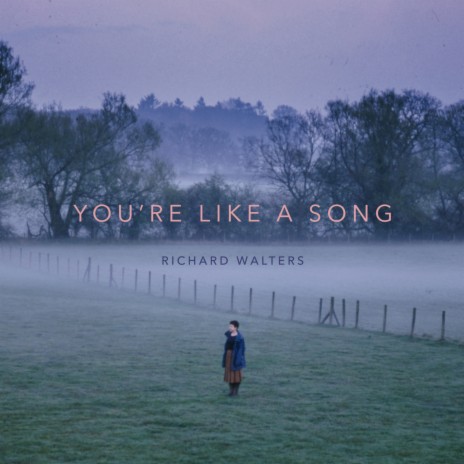 You're Like a Song | Boomplay Music