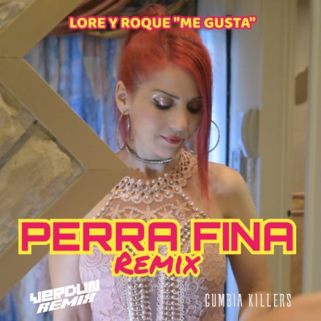 Perra Fina Remix ft. Verdun Remix & Cumbia Killers | Boomplay Music