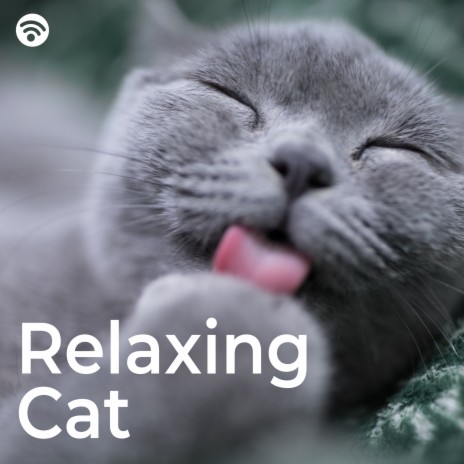 Restful Rhythms ft. Music for Cats Deluxe & Cats Music Zone | Boomplay Music