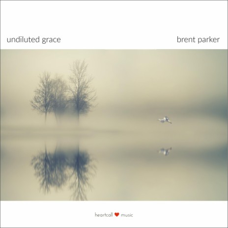Undiluted Grace | Boomplay Music