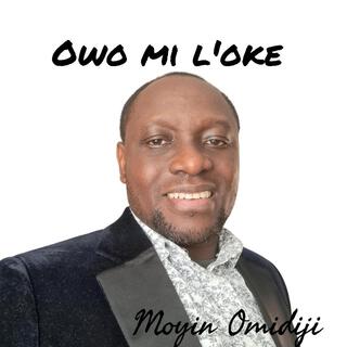 Owo Mi L'oke lyrics | Boomplay Music