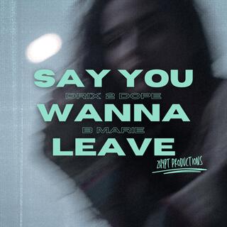 Say You Wanna Leave