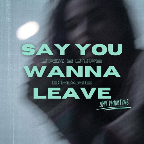 Say You Wanna Leave | Boomplay Music