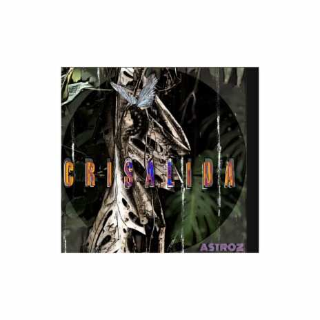 Crisalida | Boomplay Music