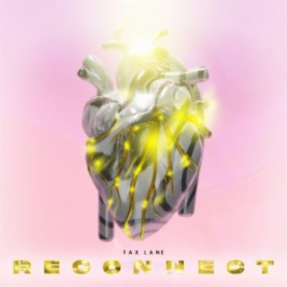 Reconnect