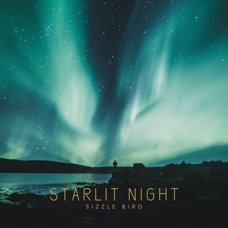 Starlit Night ft. Chillstepped & Little Dumpling | Boomplay Music