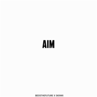 AIM (feat. Skiiwii)