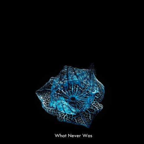 What Never Was ft. Alura Project | Boomplay Music