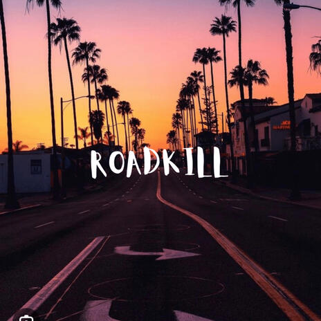 ROADKILL | Boomplay Music