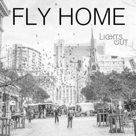 Fly Home | Boomplay Music