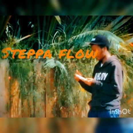 Steppa flow | Boomplay Music