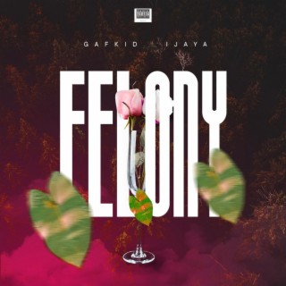 Felony lyrics | Boomplay Music