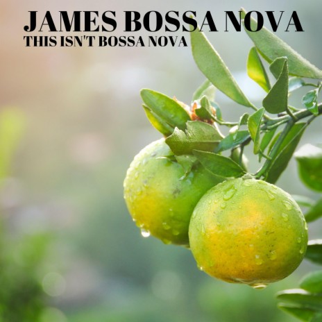 best of james bossa nova