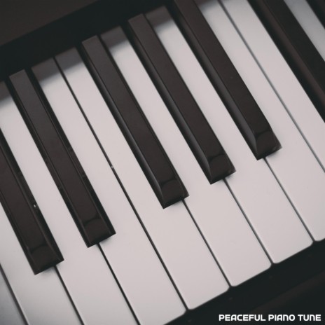 Peaceful Piano Tune | Boomplay Music
