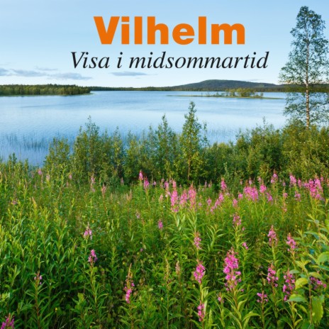 Visa i midsommartid | Boomplay Music