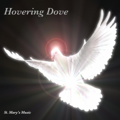 Hovering Dove | Boomplay Music