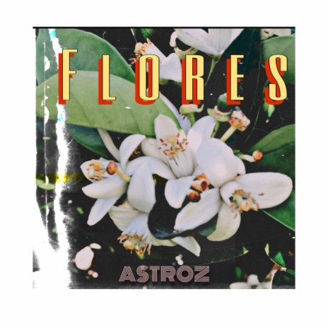 FLORES | Boomplay Music