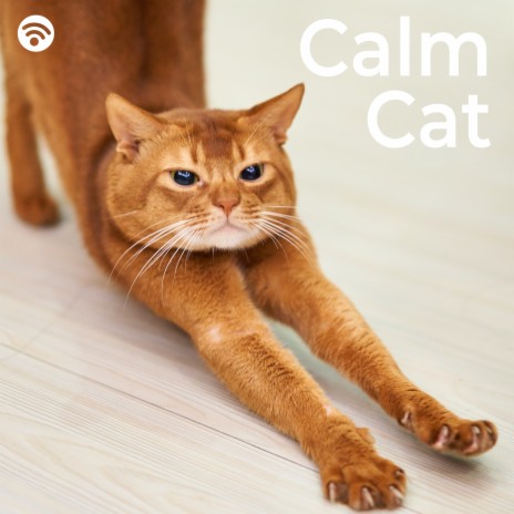 Tranquil Whiskers: Serene Melodies for Calm Cats ft. Cat Music Dreams & Music for Cats Peace | Boomplay Music