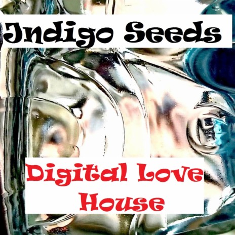 Digital Love House | Boomplay Music