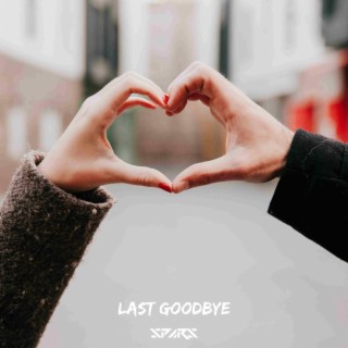 Last Goodbye