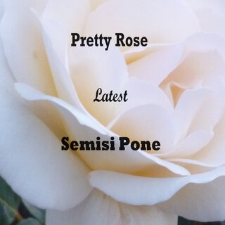 Pretty Rose Latest