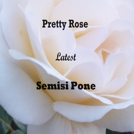 Pretty Rose Latest | Boomplay Music