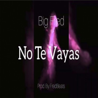 No Te Vayas