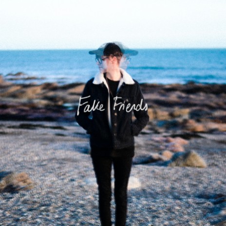 Fake Friends | Boomplay Music