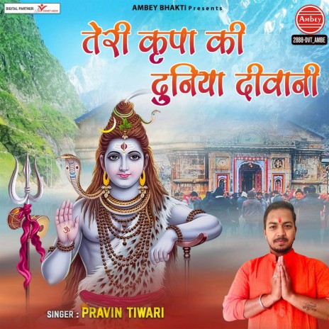 Teri Kripa Ki Duniya Deewani | Boomplay Music