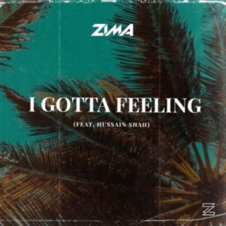 I Gotta Feeling (feat. Hussain Ali Shah)