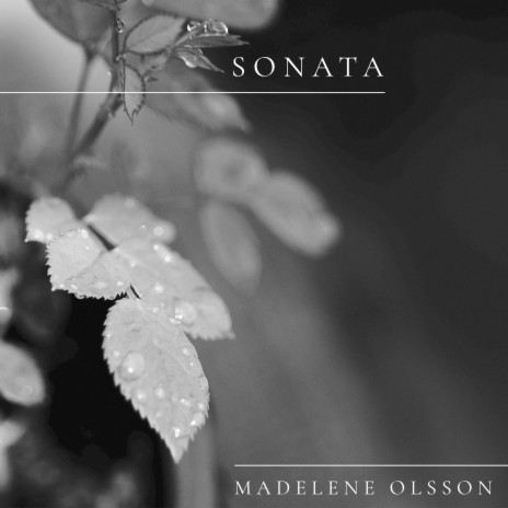 Sonata | Boomplay Music