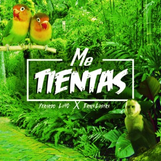 Me Tientas (feat. Erika Lastra)