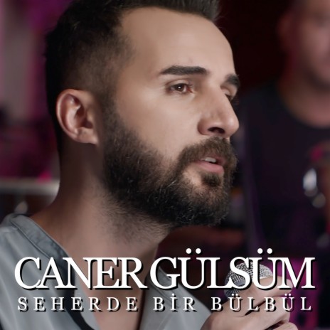 Seherde Bir Bülbül | Boomplay Music