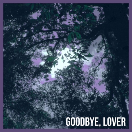 Goodbye, Lover