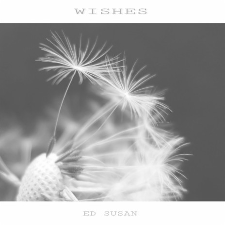 Wishes | Boomplay Music