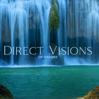 Direct Visions Of Nature