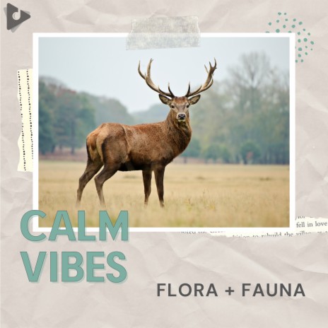 Flora ft. Nature Sounds for Relaxation and Sleep | Boomplay Music