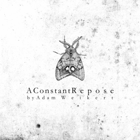 A Constant Repose (Ambient Mix)