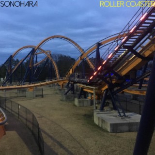 Roller Coaster