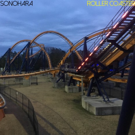 Roller Coaster | Boomplay Music