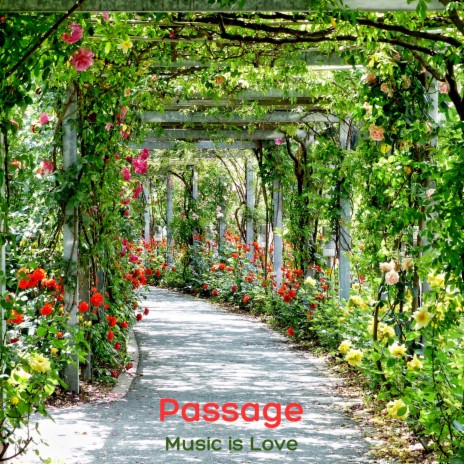 Passage | Boomplay Music