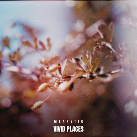 Vivid Places | Boomplay Music