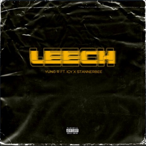 Leech ft. stannerbee & Icy | Boomplay Music