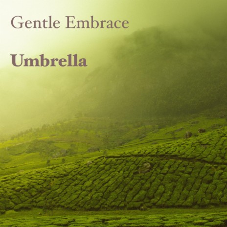 Gentle Embrace | Boomplay Music