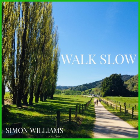 Walk Slow | Boomplay Music