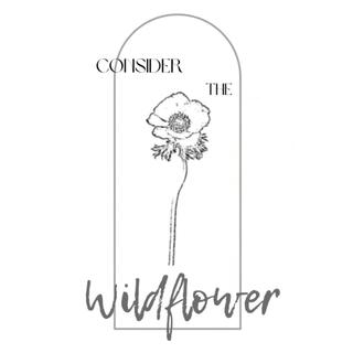 Wildflower lyrics | Boomplay Music