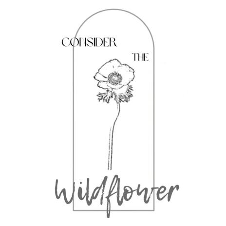 Wildflower | Boomplay Music